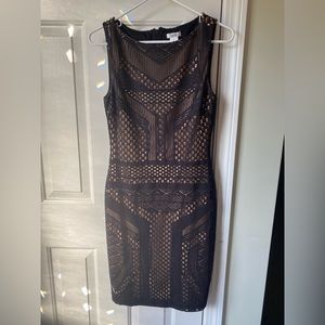 Cache dress size 6